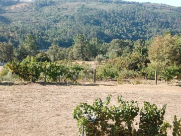 Quinta T0 para Venda em Povolide