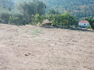 Quinta T0 para Venda em Povolide