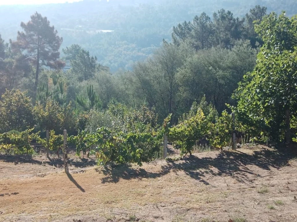Quinta T0 para Venda em Povolide Foto 11