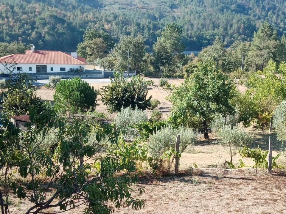 Quinta T0 para Venda em Povolide Foto 10