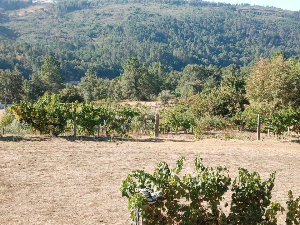 Quinta T0 para Venda em Povolide Foto 3