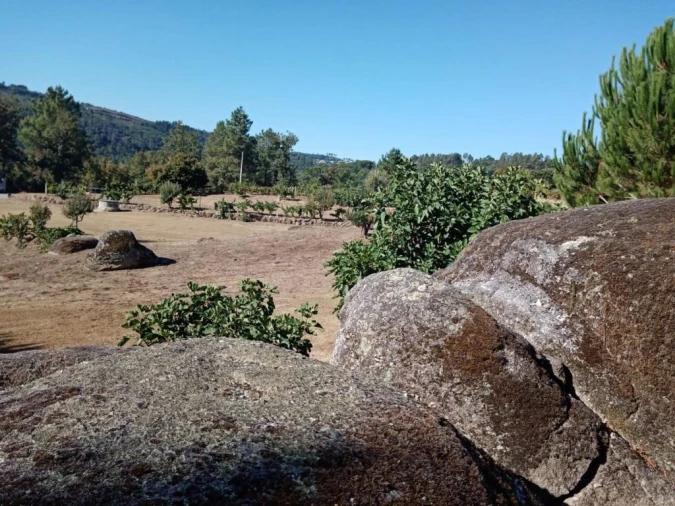 Quinta T0 para Venda em Povolide Foto 13
