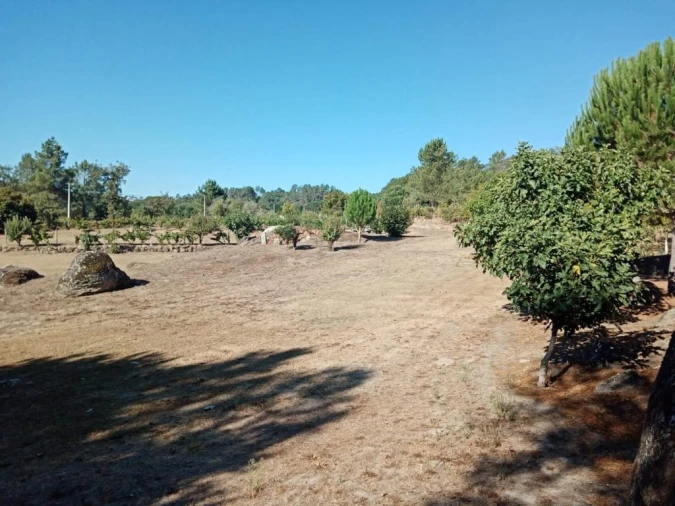 Quinta T0 para Venda em Povolide Foto 14