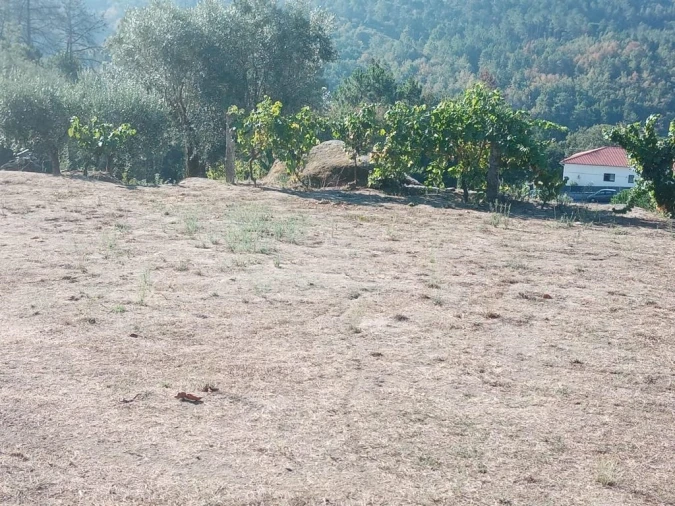 Quinta T0 para Venda em Povolide Foto 9