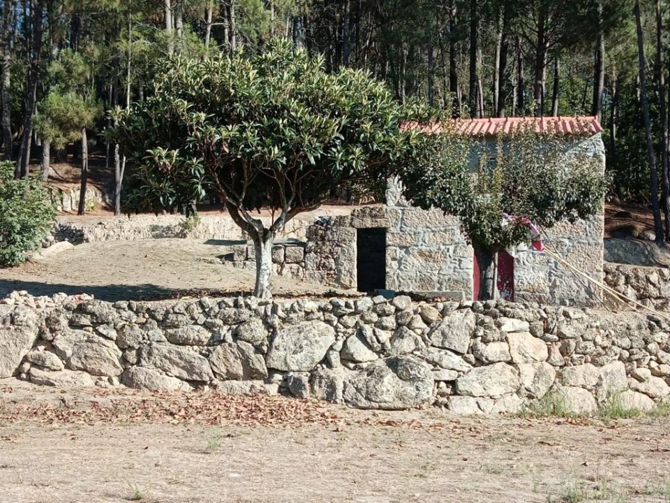 Quinta T0 para Venda em Povolide Foto 2