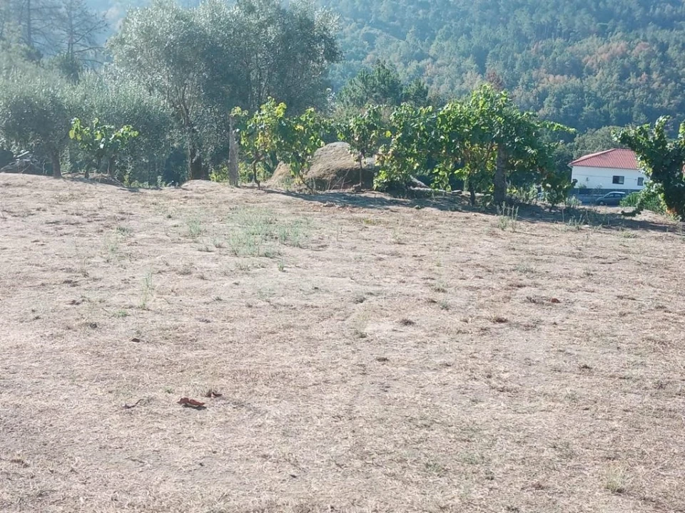 Quinta T0 para Venda em Povolide Foto 9