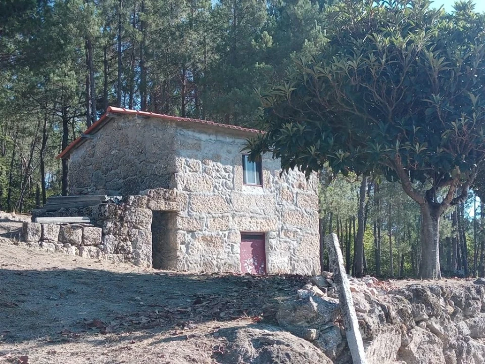 Quinta T0 para Venda em Povolide Foto 1