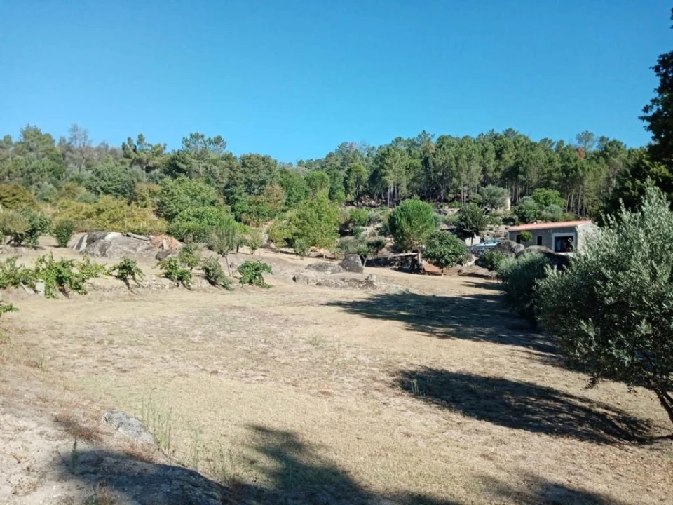 Quinta T0 para Venda em Povolide Foto 15