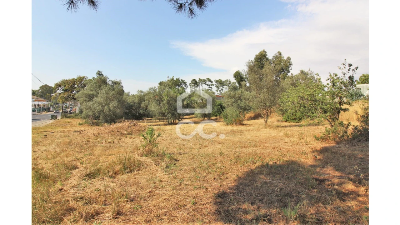 Terreno para Arrendamento em Fernao Ferro Foto 8