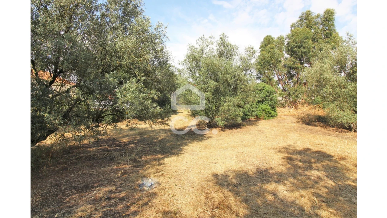 Terreno para Arrendamento em Fernao Ferro Foto 5