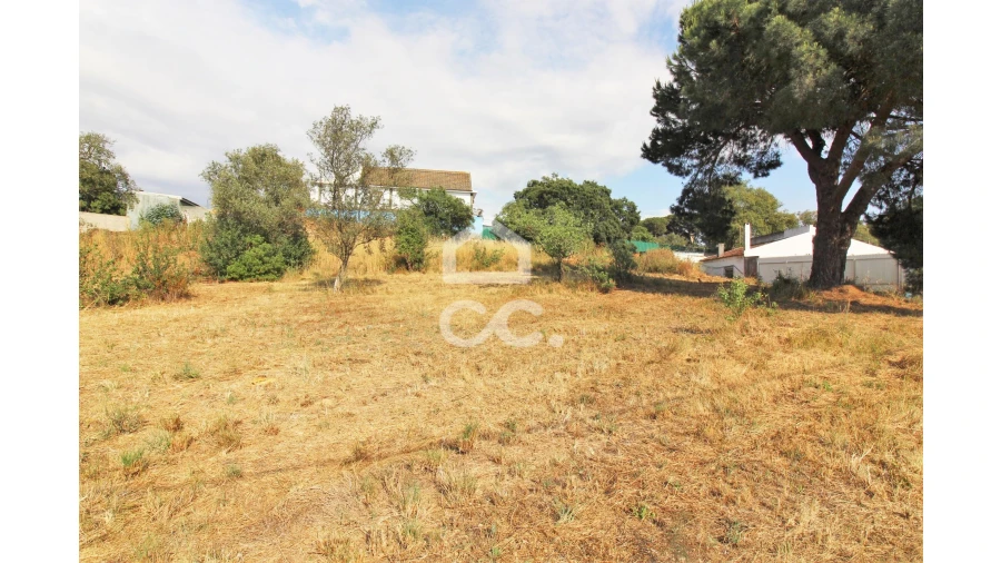 Terreno para Arrendamento em Fernao Ferro Foto 7