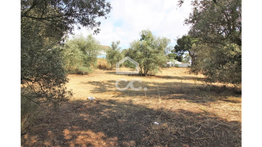 Terreno para Arrendamento em Fernao Ferro Foto 4