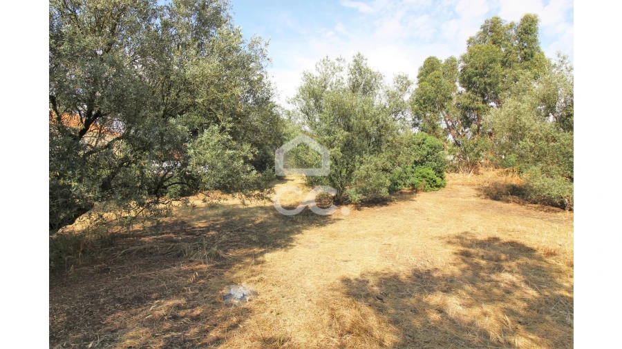 Terreno para Arrendamento em Fernao Ferro Foto 5
