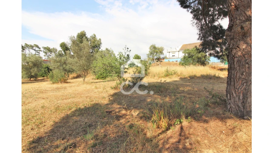 Terreno para Arrendamento em Fernao Ferro Foto 9