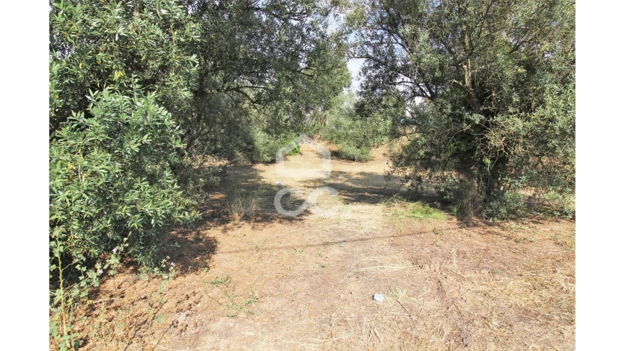 Terreno para Arrendamento em Fernao Ferro Foto 3