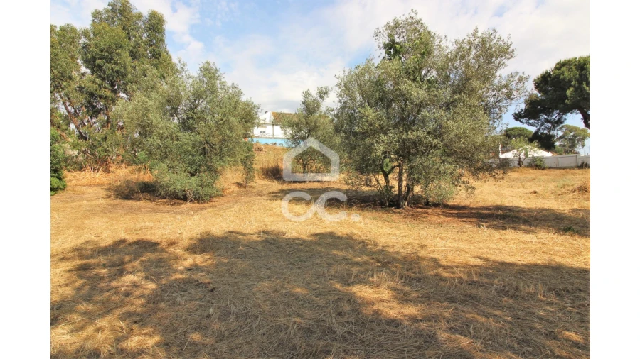 Terreno para Arrendamento em Fernao Ferro Foto 6