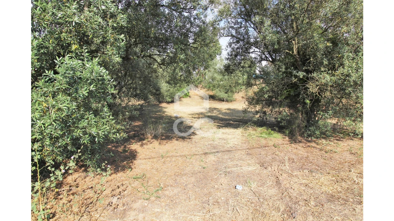 Terreno para Arrendamento em Fernao Ferro Foto 3