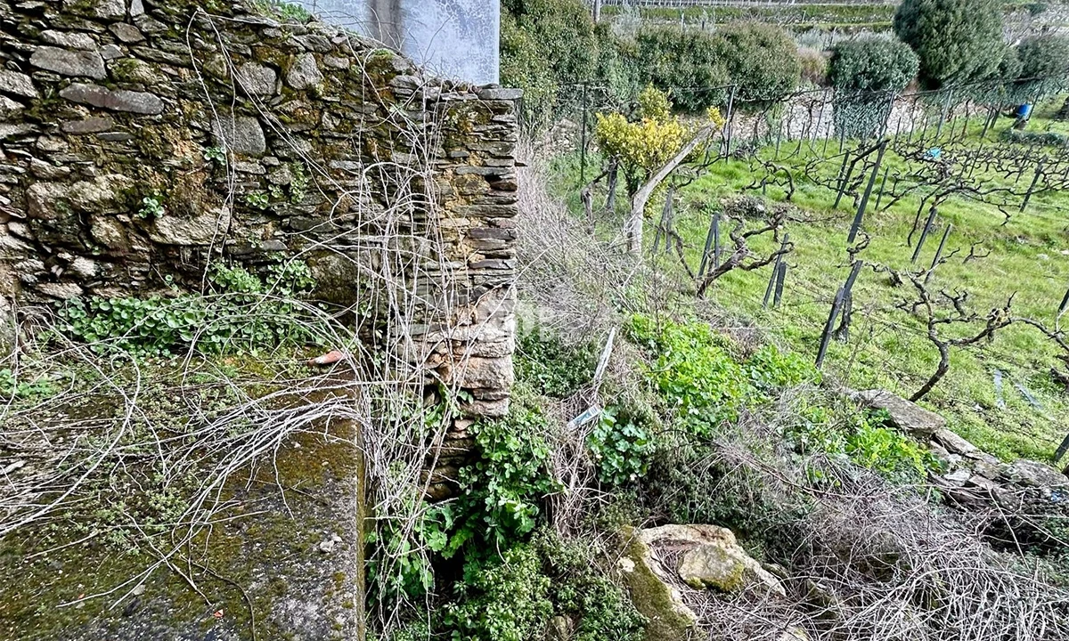 Moradia T3 para Venda em Barcos e Santa Leocádia Foto 12