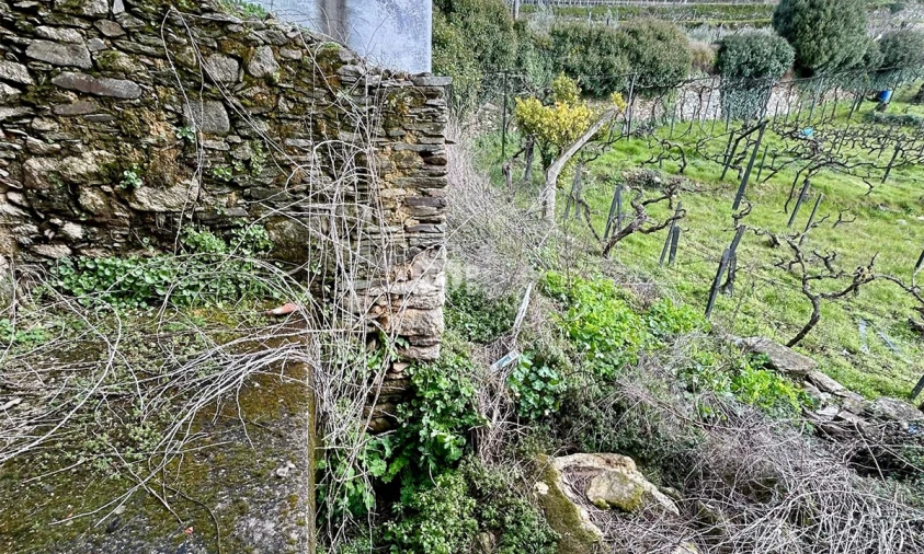 Moradia T3 para Venda em Barcos e Santa Leocádia Foto 12