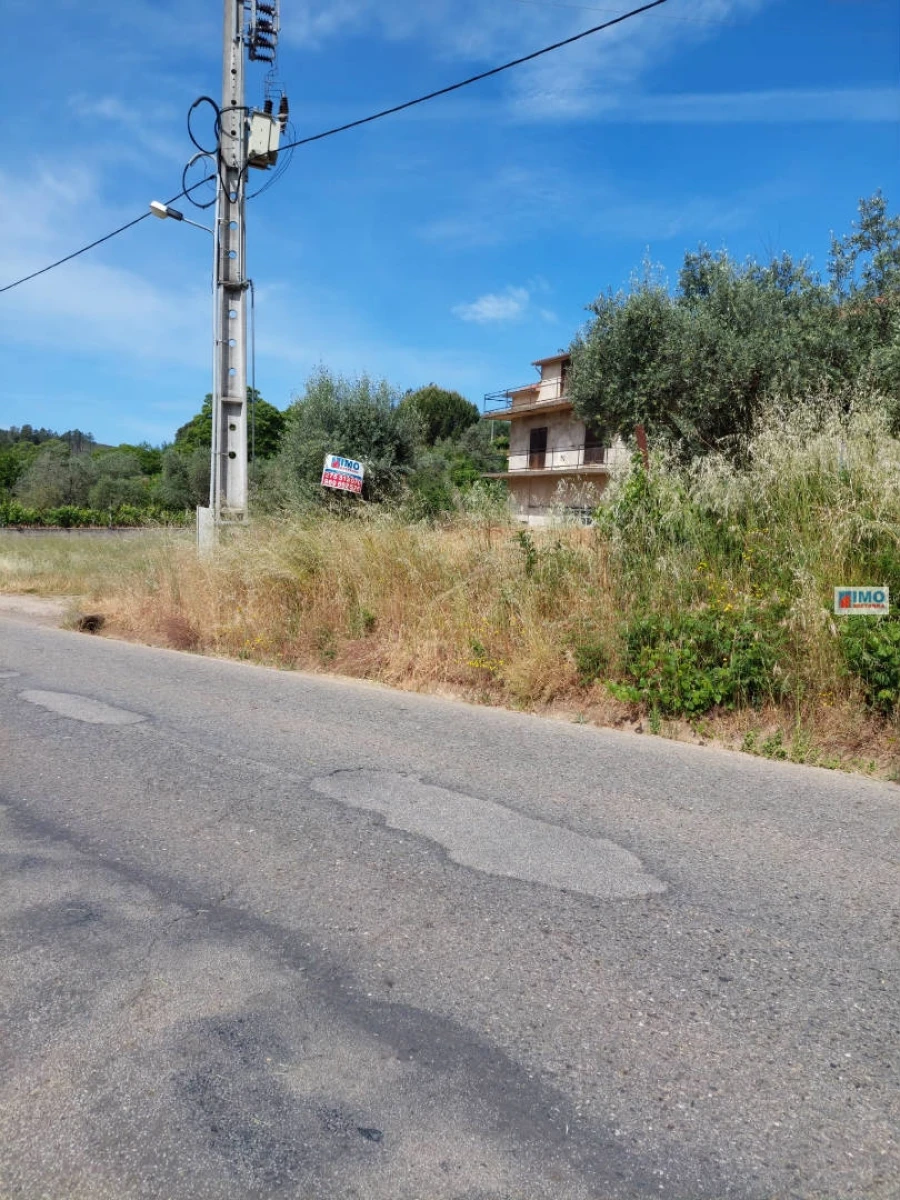 Terreno Agricola ou Rústico para Venda em Paul Foto 3
