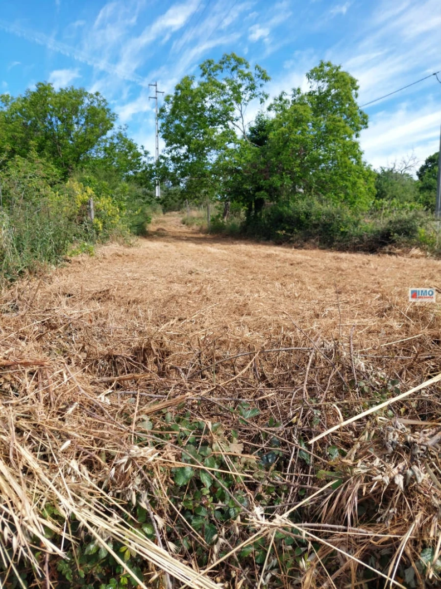 Terreno Agricola ou Rústico para Venda em Paul Foto 5