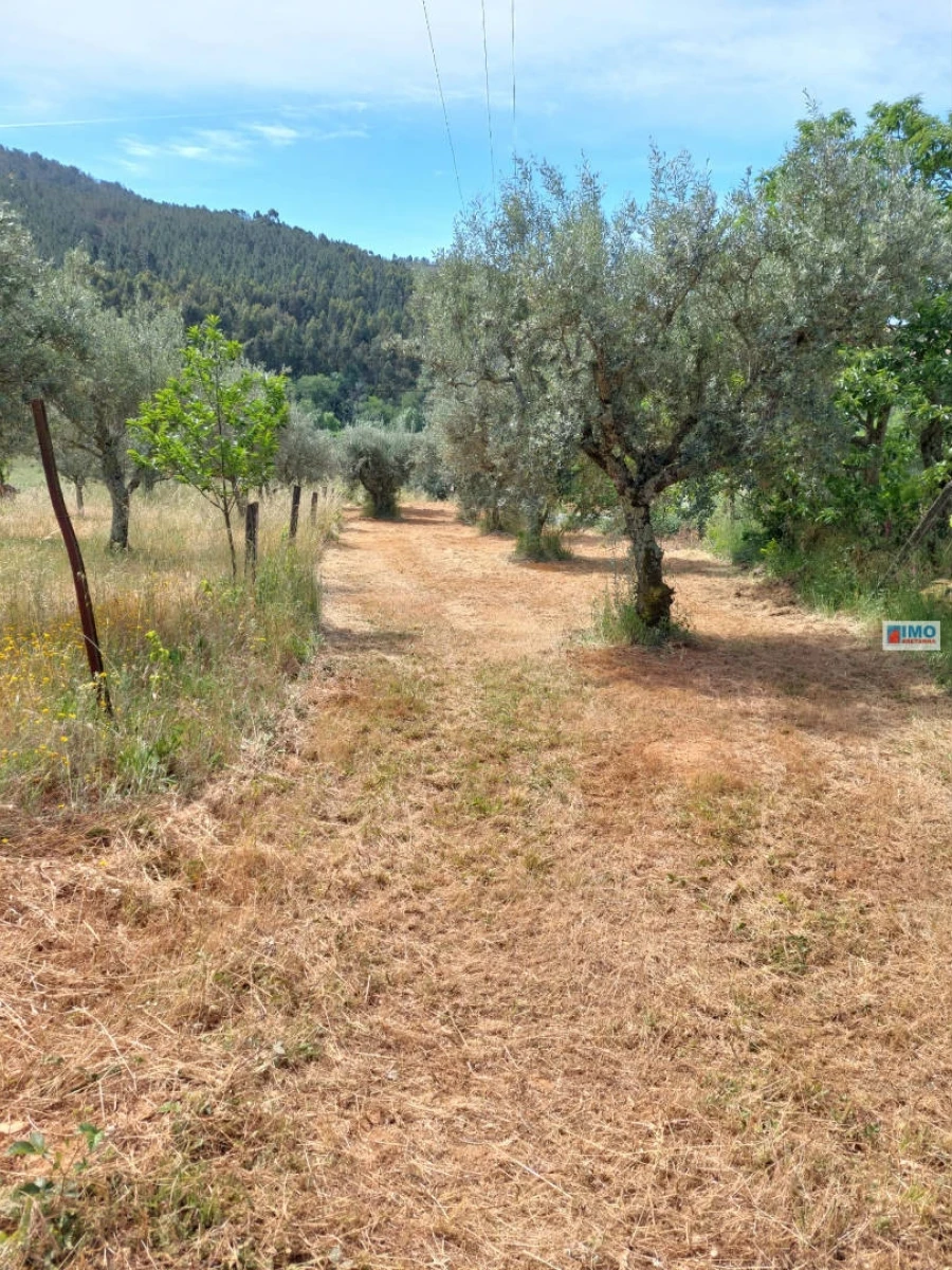 Terreno Agricola ou Rústico para Venda em Paul Foto 6