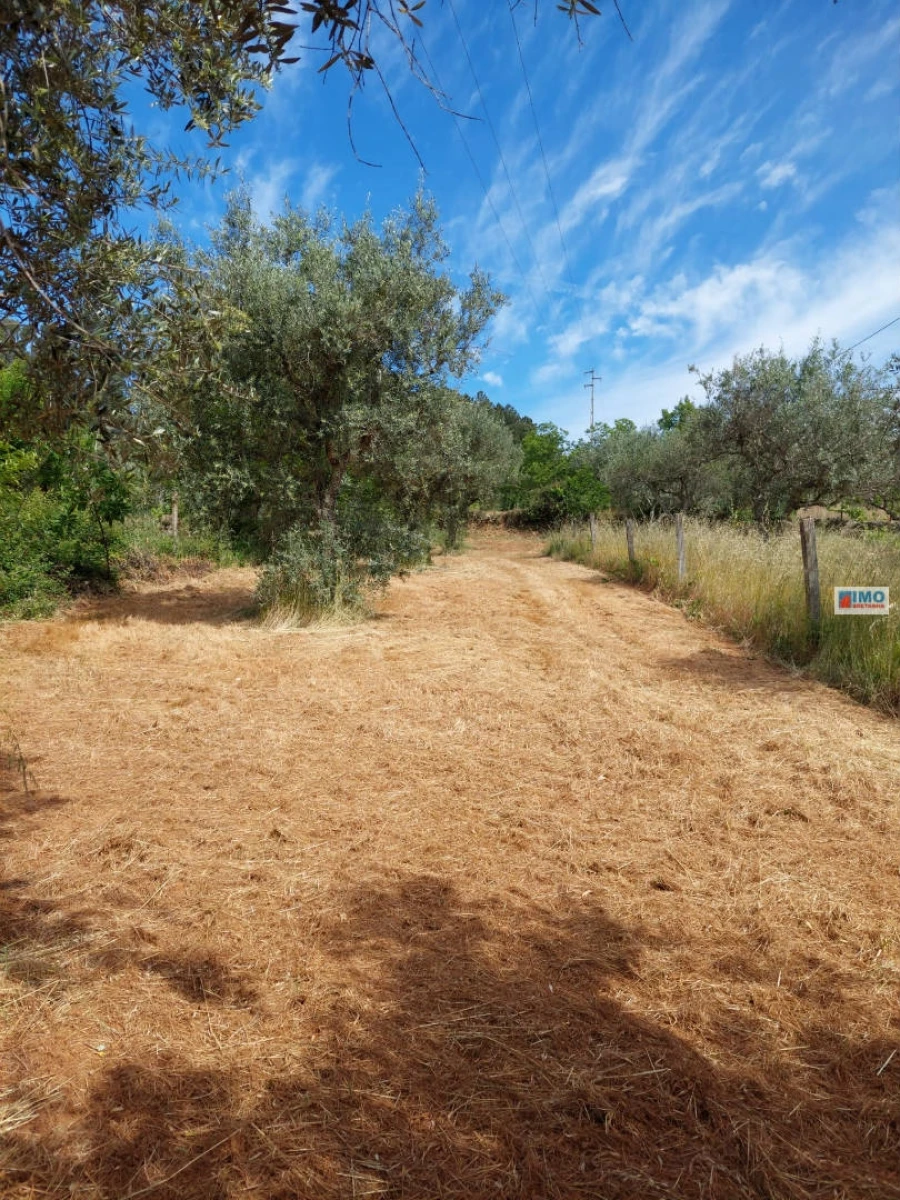 Terreno Agricola ou Rústico para Venda em Paul Foto 7