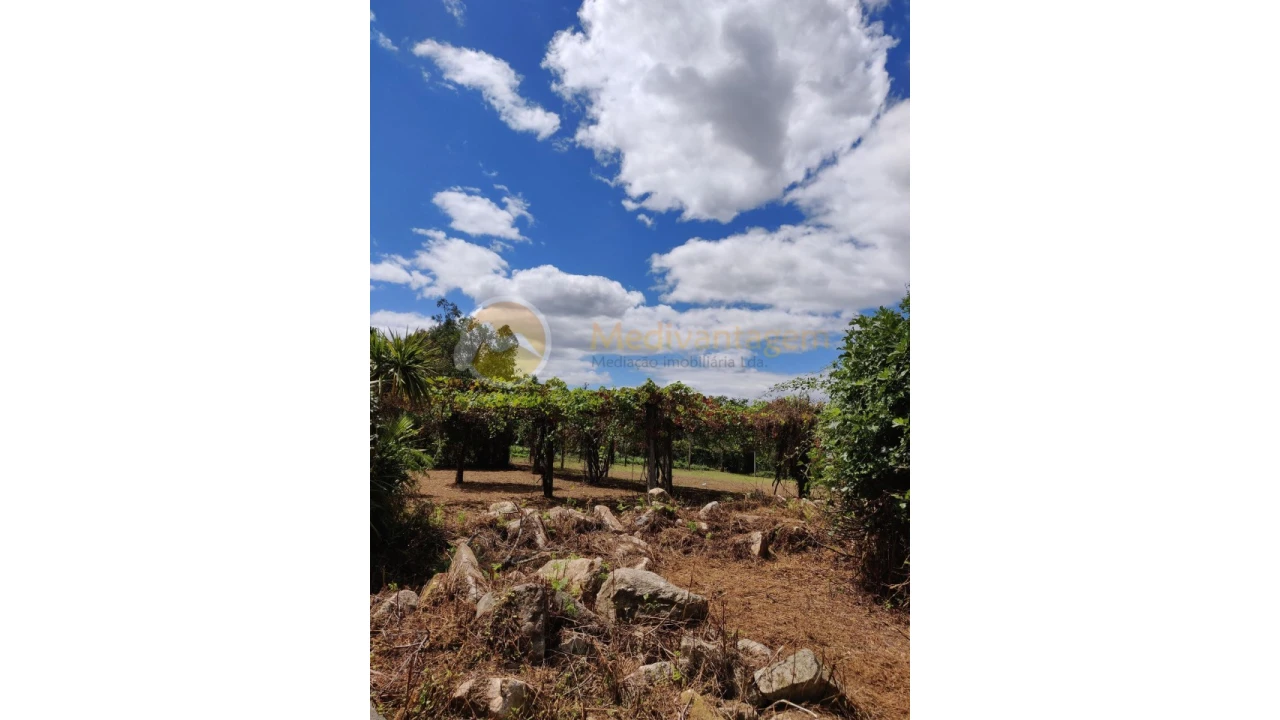 Terreno para Venda em Freiriz Foto 4