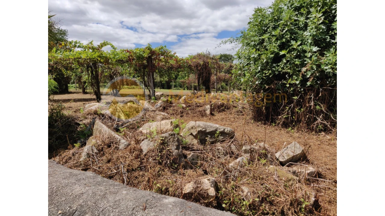 Terreno para Venda em Freiriz Foto 8