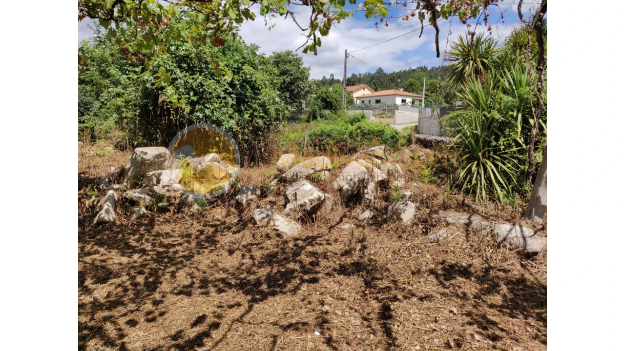 Terreno para Venda em Freiriz Foto 9