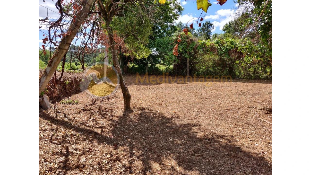 Terreno para Venda em Freiriz Foto 10