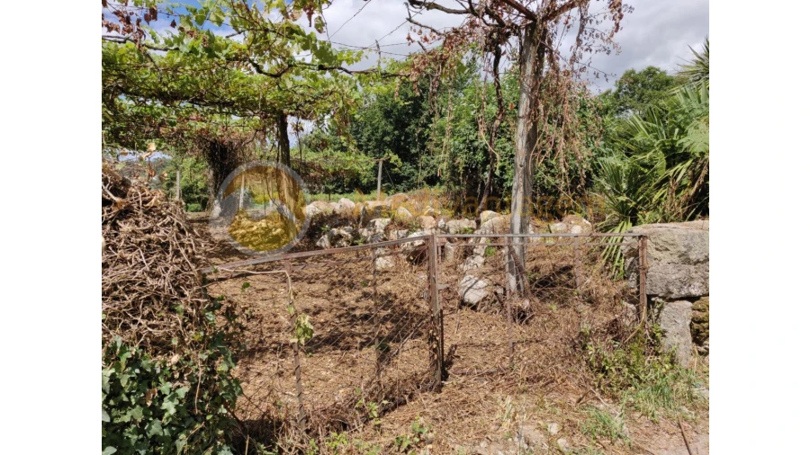 Terreno para Venda em Freiriz