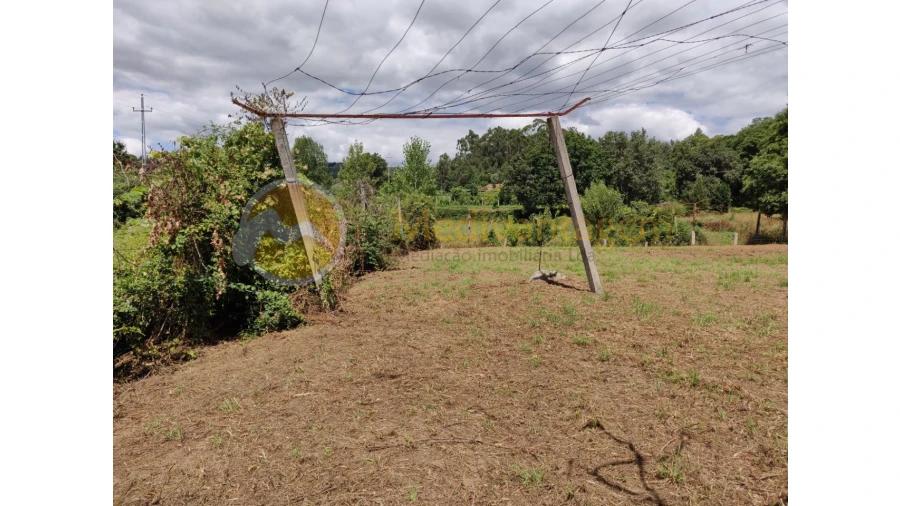 Terreno para Venda em Freiriz Foto 2