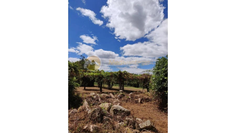 Terreno para Venda em Freiriz Foto 4