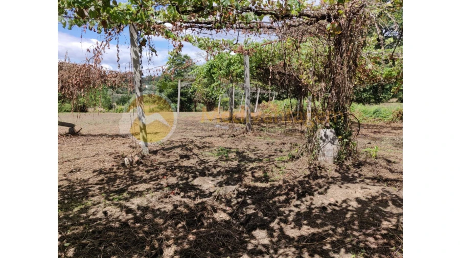 Terreno para Venda em Freiriz Foto 7