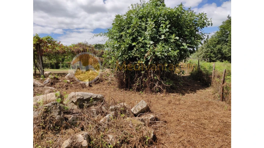 Terreno para Venda em Freiriz Foto 11