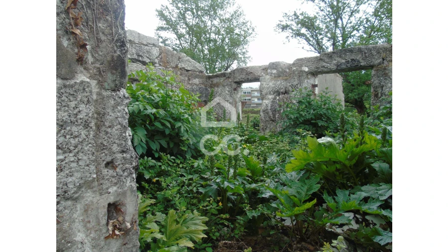 Moradia para Venda em Selho (São Cristovão) Foto 14