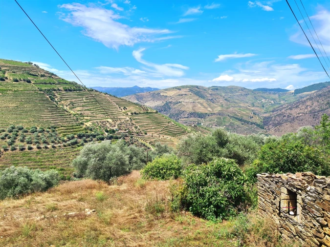 Moradia T3 para Venda em Nagozelo do Douro Foto 37