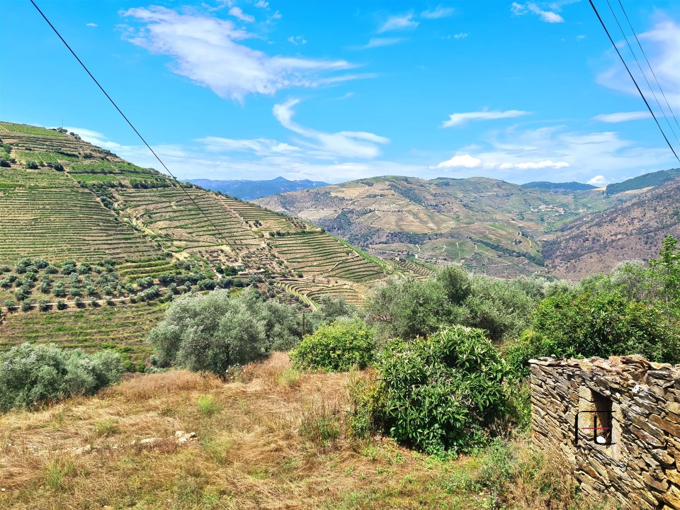 Moradia T3 para Venda em Nagozelo do Douro Foto 37