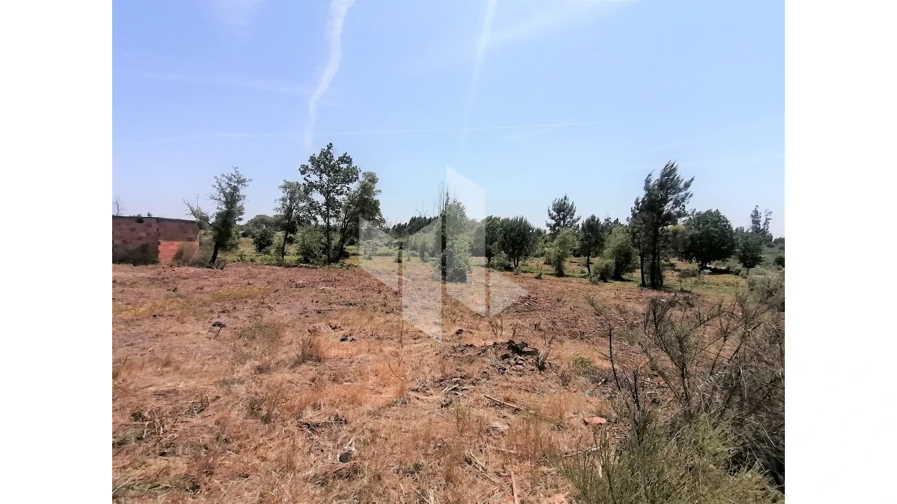 Terreno Agricola ou Rústico para Venda em Lobão da Beira Foto 7