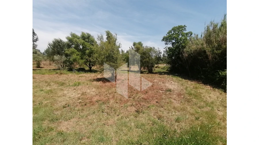 Terreno Agricola ou Rústico para Venda em Lobão da Beira Foto 1