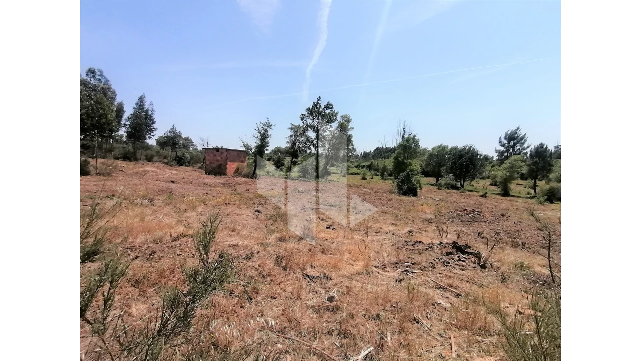 Terreno Agricola ou Rústico para Venda em Lobão da Beira Foto 6