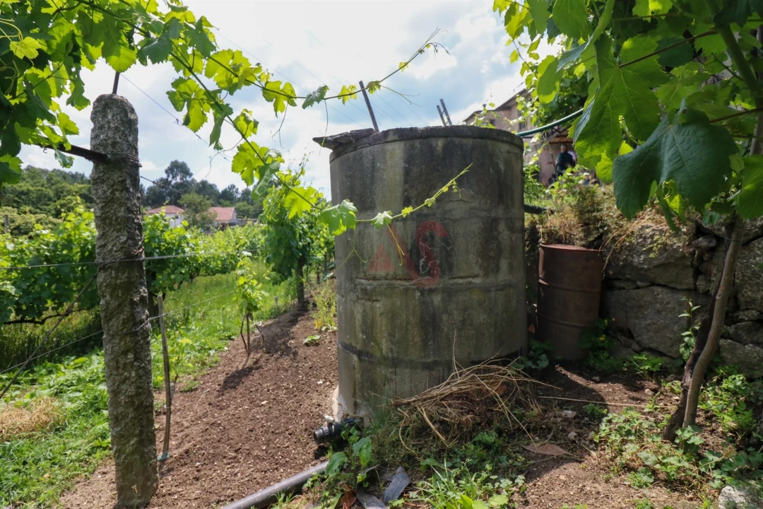 Quinta T0 para Venda em Pencelo Foto 16