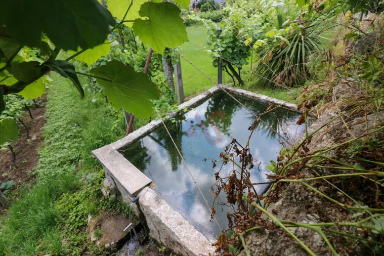 Quinta T0 para Venda em Pencelo Foto 3