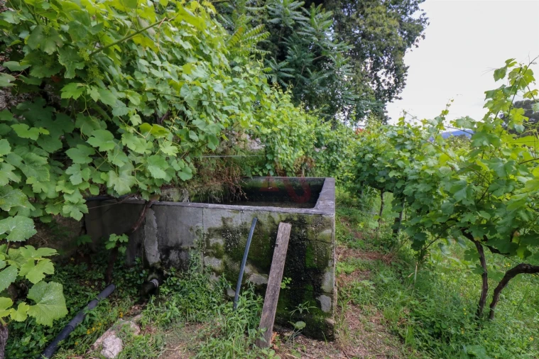 Quinta T0 para Venda em Pencelo Foto 15