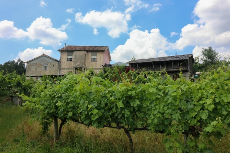 Quinta T0 para Venda em Pencelo Foto 13