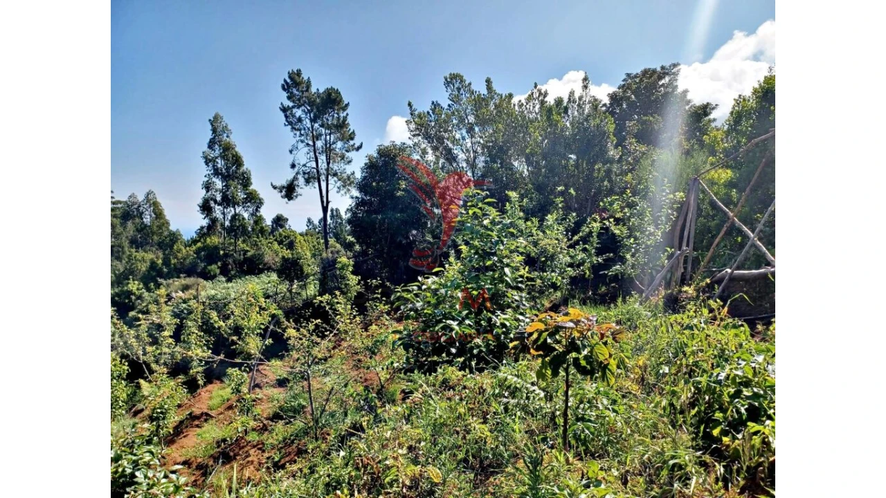 Terreno para Venda em Achadas da Cruz Foto 16