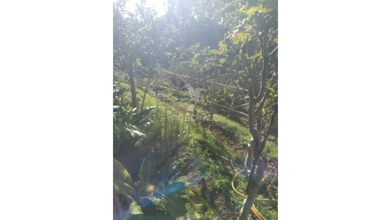 Terreno para Venda em Achadas da Cruz Foto 8