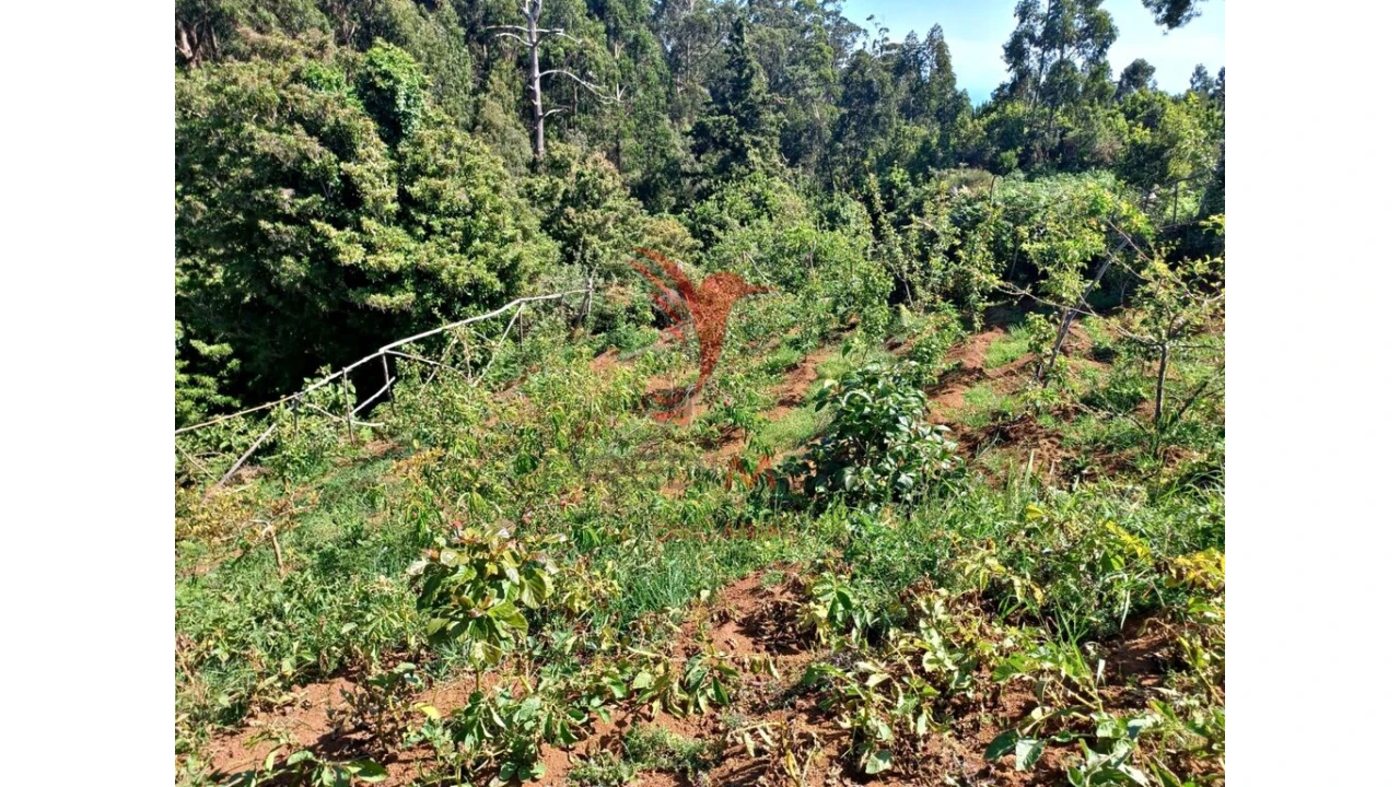 Terreno para Venda em Achadas da Cruz Foto 15