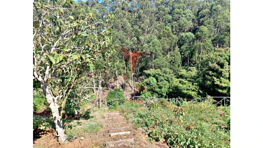 Terreno para Venda em Achadas da Cruz Foto 14
